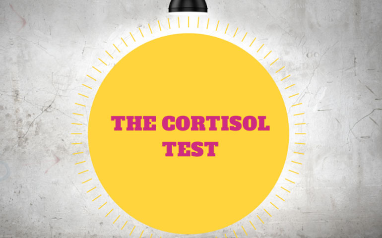 Do you have too much cortisol?