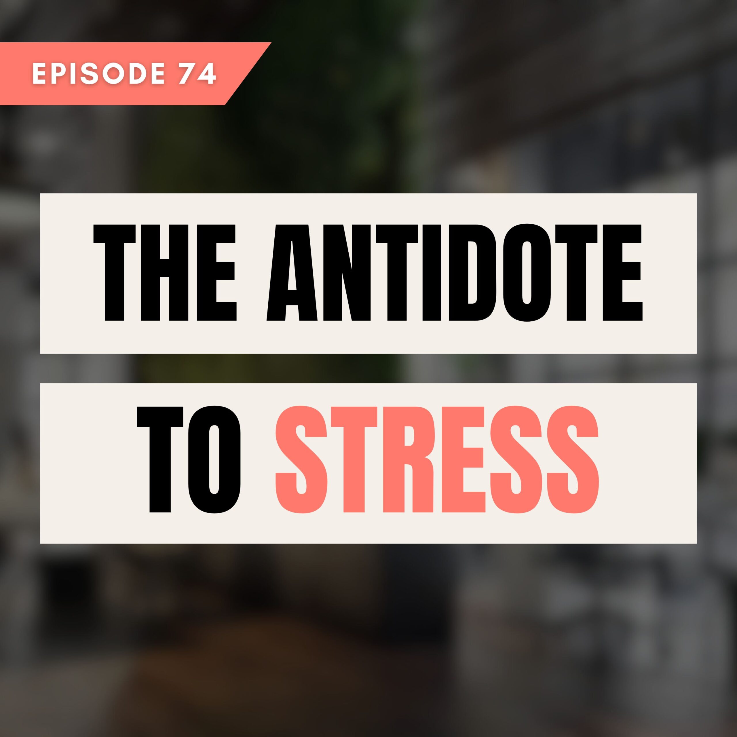The antidote to stress